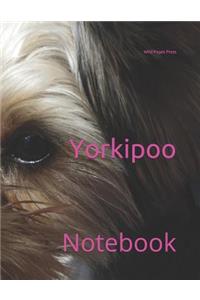 Yorkipoo