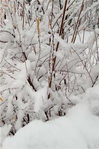2019 Weekly Planner Winter Forest Snowstorm 134 Pages