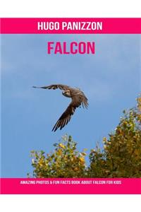 Falcon: Amazing Photos & Fun Facts Book about Falcon for Kids