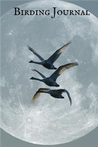 Birding Journal