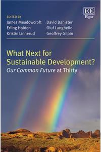 What Next for Sustainable Development?