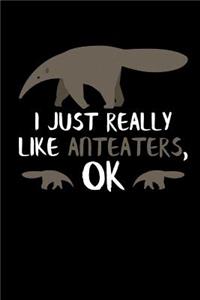 I Just Really Like Anteaters, Ok
