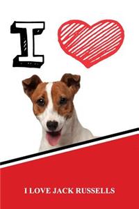 Jack Russells