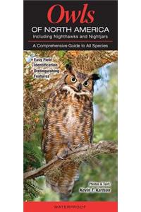 Owls of North America Including Nighthawks and Nightjars