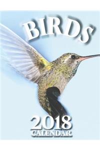 Birds 2018 Calendar (UK Edition)