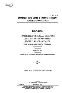 Examining how small businesses confront and shape regulations