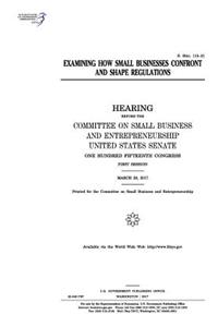 Examining How Small Businesses Confront and Shape Regulations