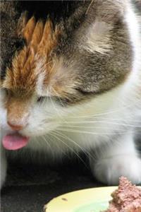 Derpy Cat Journal