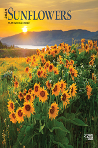 Sunflowers 2024 Mini 7x7