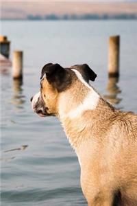 Dog Lake Notebook