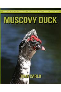 Muscovy Duck