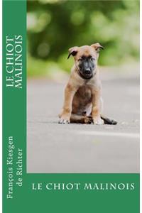 chiot malinois
