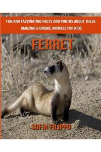 Ferret