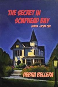 The Secret In Soapshead Bay