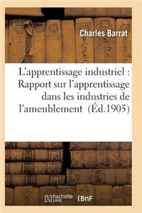 L'Apprentissage Industriel: Rapport Sur l'Apprentissage Dans Les Industries de l'Ameublement