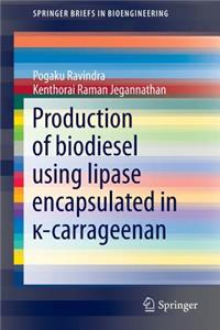 Production of Biodiesel Using Lipase Encapsulated in κ-Carrageenan