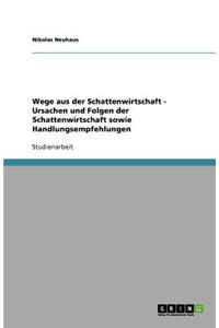 Wege aus der Schattenwirtschaft - Ursachen und Folgen der Schattenwirtschaft sowie Handlungsempfehlungen