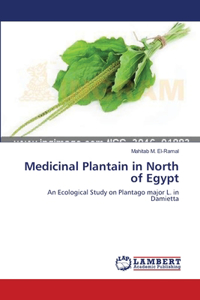 Medicinal Plantain in North of Egypt