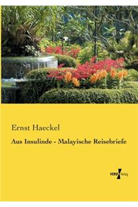 Aus Insulinde - Malayische Reisebriefe