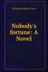 Nobody's fortune: A Novel