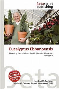 Eucalyptus Ebbanoensis