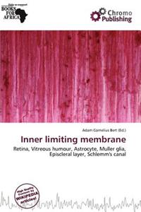 Inner Limiting Membrane