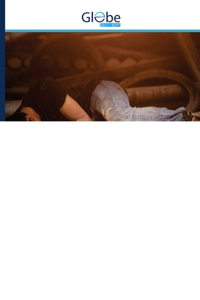 ТЕОРЕТИЧЕСКАЯ МОДЕЛЬ УГОЛОВНОЙ ПОЛИТИКИ