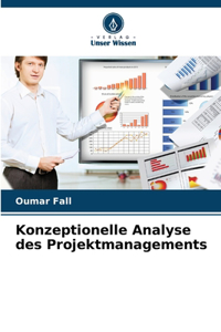Konzeptionelle Analyse des Projektmanagements