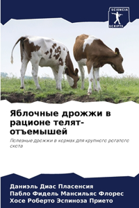 Яблочные дрожжи в рационе телят-отъемышей