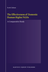 Effectiveness of Domestic Human Rights Ngos