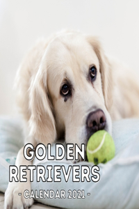 Golden Retrievers