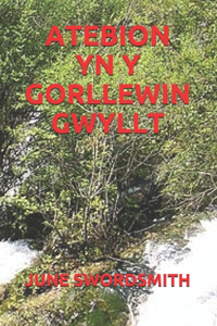 Atebion Yn Y Gorllewin Gwyllt
