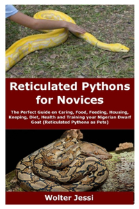 Reticulated Pythons for Novices