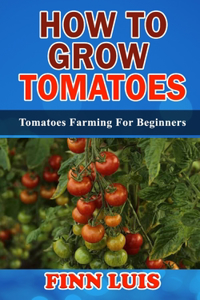 How to Grow Tomato