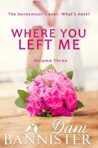 Where You Left Me, Vol. 3