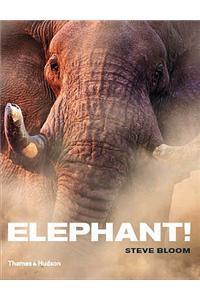 Elephant!