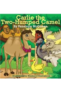 Carlie the Two-Humped Camel