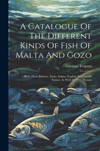 Catalogue Of The Different Kinds Of Fish Of Malta And Gozo