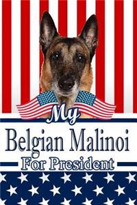 My Belgian Malinoi for President