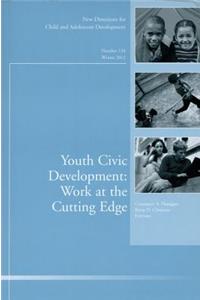 Youth Civic Development: Work at the Cutting Edge