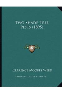 Two Shade-Tree Pests (1895)