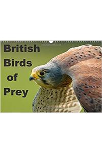 British Birds of Prey 2017