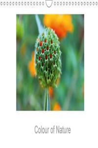 Colour of Nature 2018