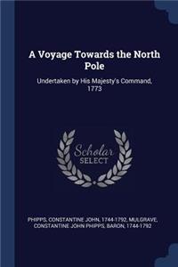 Voyage Towards the North Pole