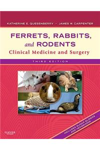 Ferrets, Rabbits, and Rodents