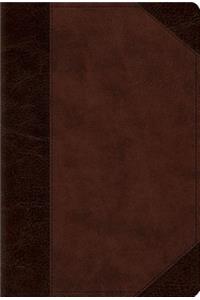 ESV Devotional Psalter