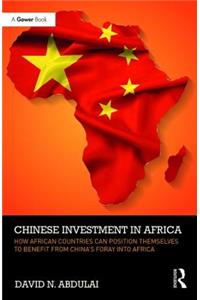 Chinese Investment in Africa