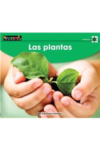 Las Plantas