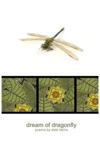 Dream of Dragonfly