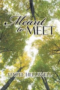 Meant to Meet